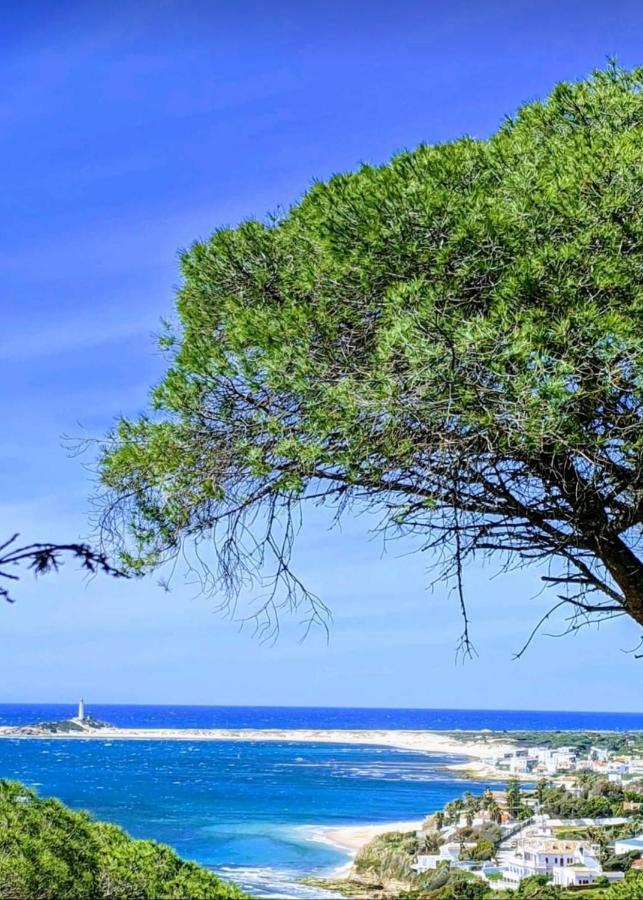 Finca El Abuelo Manuel Vejer de la Frontera Kültér fotó